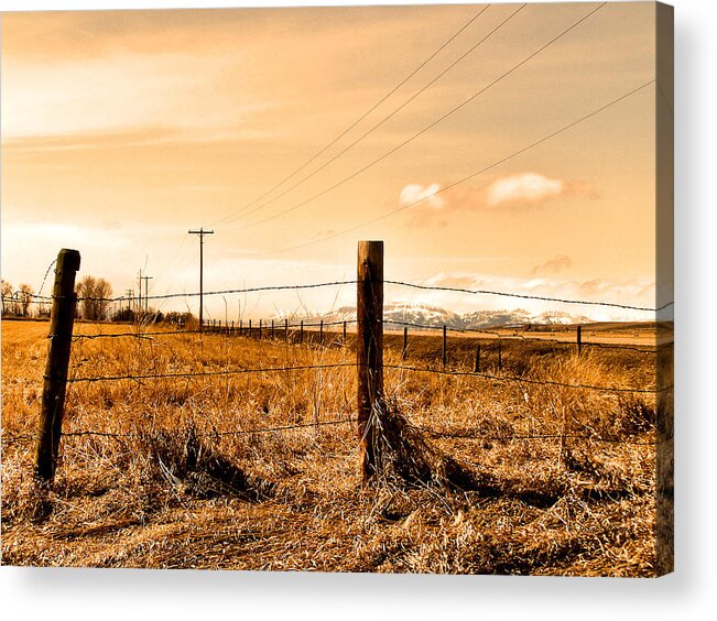 Montana Acrylic Print featuring the photograph Crossed Wires by Susan Kinney