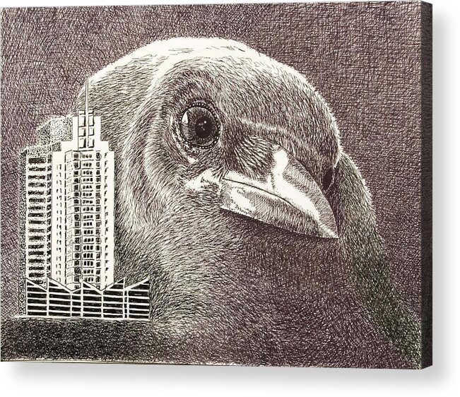 Pen Acrylic Print featuring the drawing Crow over casino windsor by Wade Clark