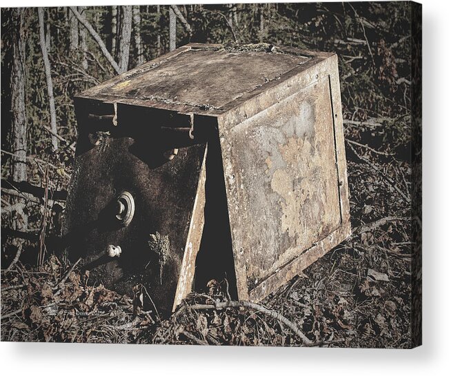 Safe Acrylic Print featuring the photograph Dan Creek Safe by Fred Denner