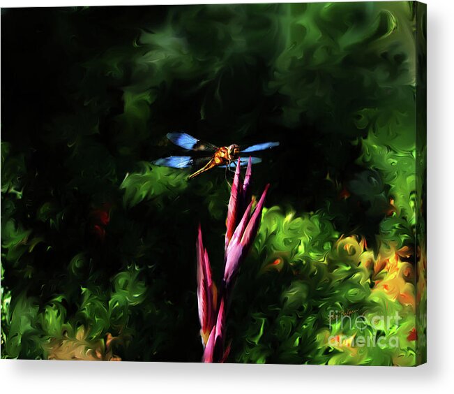 Dragonfly Acrylic Print featuring the digital art Dragonfly on Canis Bud by Lisa Redfern