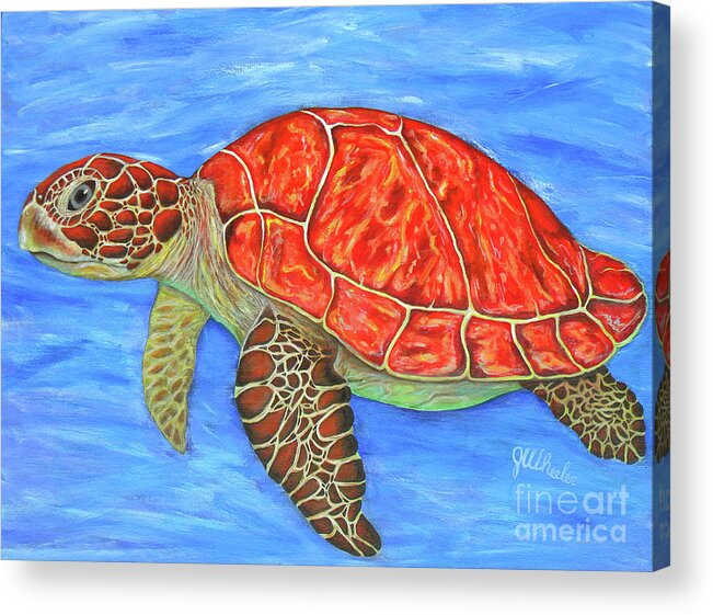 Sea Turtle Acrylic Print featuring the painting Drifter by JoAnn Wheeler