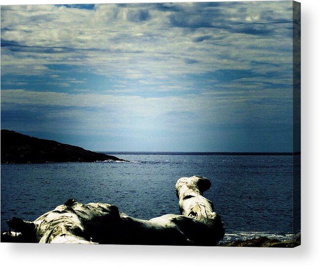 Driftwood Compass Acrylic Print featuring the photograph Driftwood Compass by Mike Breau