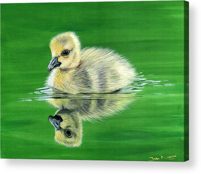 Duckling Acrylic Print featuring the painting Duckling by John Neeve
