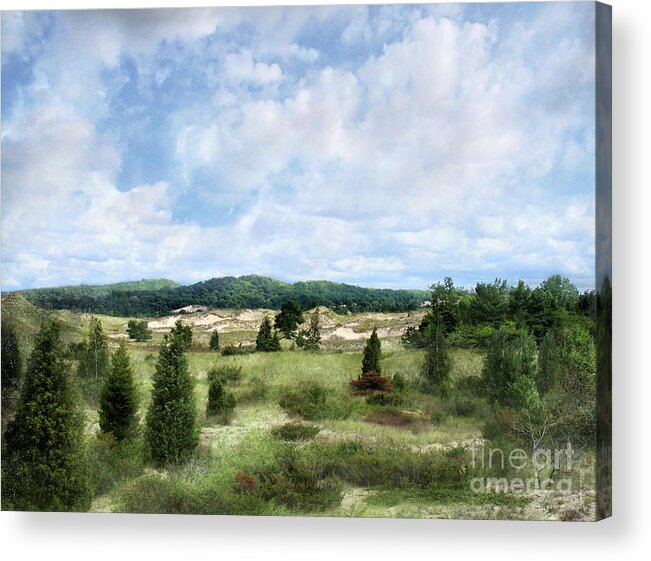 Landscape Acrylic Print featuring the photograph Dunescape Preserved Forever by Kathi Mirto