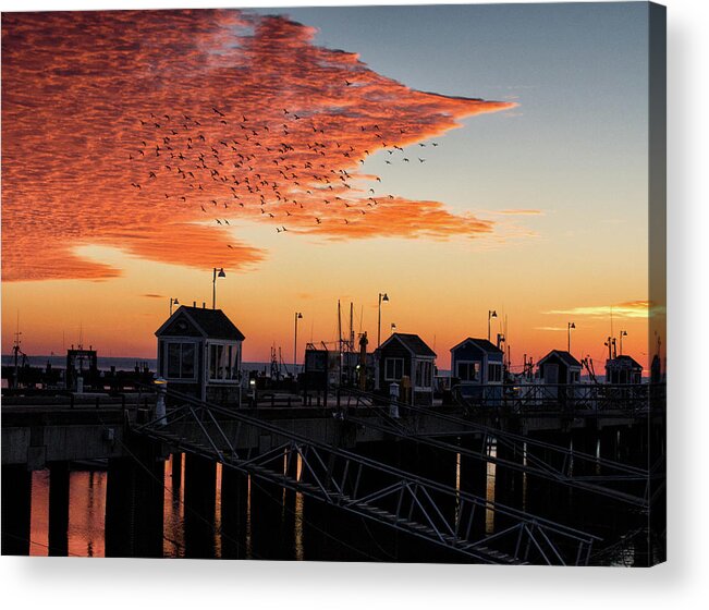 Provincetown Acrylic Print featuring the photograph Early Orange by Ellen Koplow