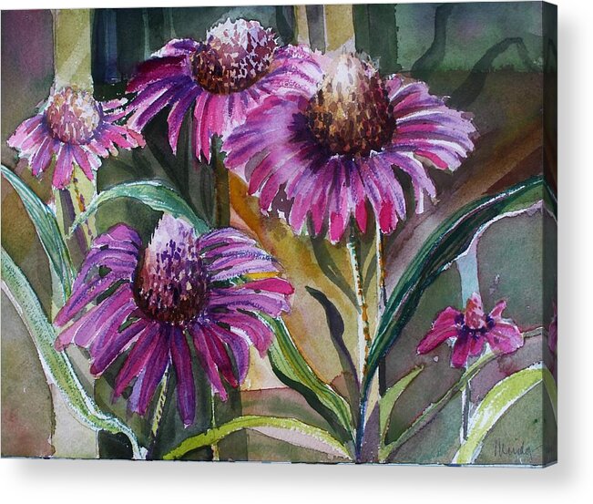 Floral Acrylic Print featuring the painting Echinacea The healing daisy by Mindy Newman