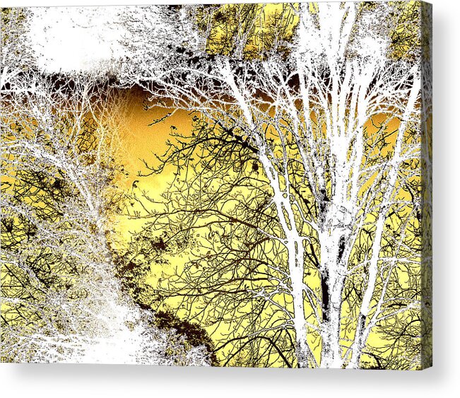 From The Forthcoming Autumn Breaks Photo Album With Music Acrylic Print featuring the digital art Elements 69 by The Lovelock experience