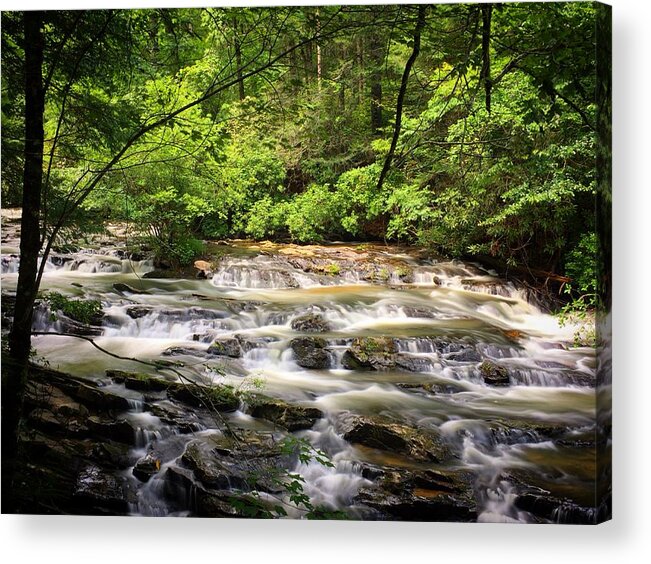 Waterfalls Acrylic Print featuring the photograph Falling by Richie Parks