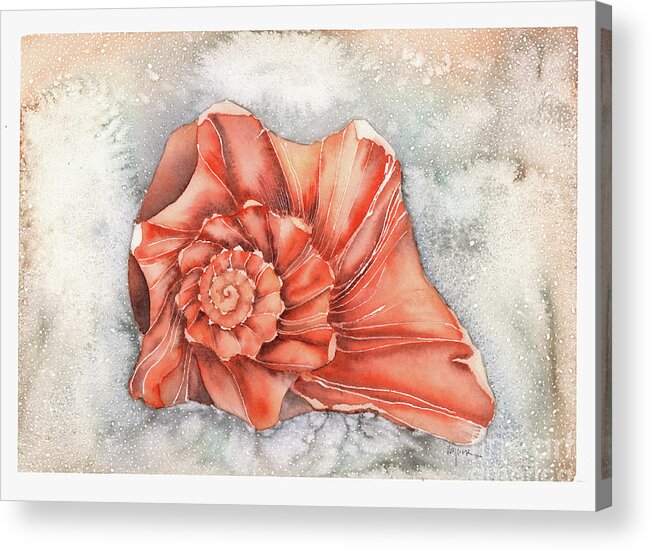 Seashell Acrylic Print featuring the painting Florida Whelk by Hilda Wagner