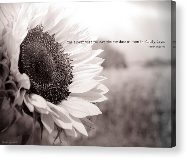 Sunflower Acrylic Print featuring the photograph Follow the Sun by Debbie Karnes