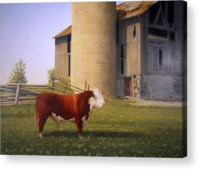 Bull Acrylic Print featuring the painting For the Record by Conrad Mieschke