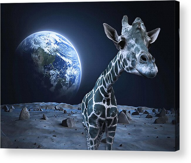 Moon Acrylic Print featuring the digital art Giraffe on Moon by Sara Pixel Pixie