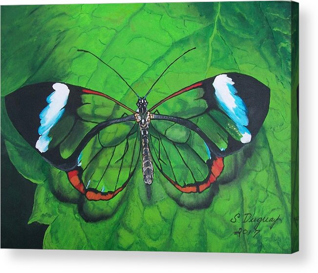 Transparent Elegance Ii Acrylic Print featuring the painting Transparent Wing Butterfly by Sharon Duguay