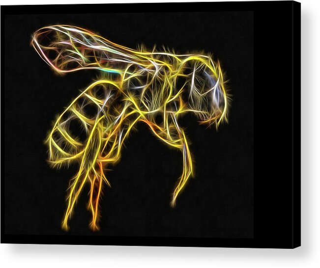 Bee Acrylic Print featuring the digital art Golden honey bee fractalized by Matthias Hauser