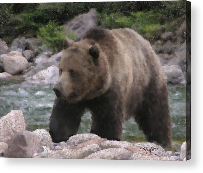 Bear Acrylic Print featuring the pastel Grizzly Bear by Kathie Miller
