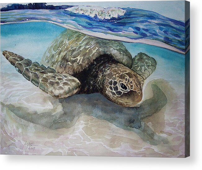 Hawaii Turtle Seascape Island Landscape Ocean Sea Turtle Acrylic Print featuring the painting Hawaiin Turtle by Lynne Haines
