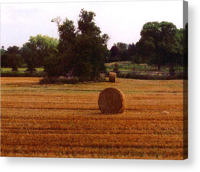 Landscape Acrylic Print featuring the photograph Hay Rolls 2 DB 2 by Lyle Crump