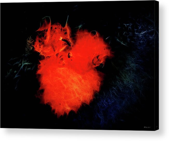 Heart Burn Acrylic Print featuring the digital art Heart Burn by Ole Klintebaek