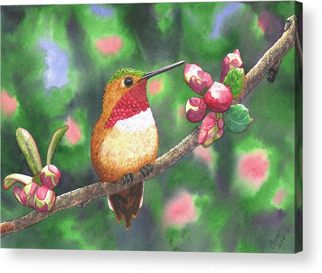 Hummingbird Acrylic Print featuring the painting Hummy by Catherine G McElroy