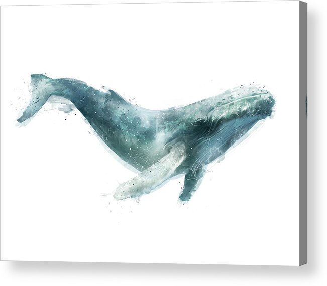 Humpback Acrylic Print featuring the painting Humpback Whale from Whales Chart by Amy Hamilton