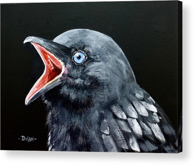 Raven Acrylic Print featuring the painting Hungry Baby Raven by Pat Dolan