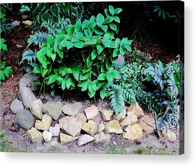 Solomon Seal Acrylic Print featuring the photograph I Heart Gardening by Allen Nice-Webb