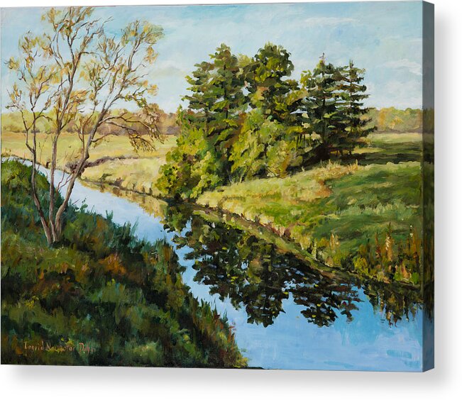 Countryside Acrylic Print featuring the painting Illinois Countryside by Ingrid Dohm