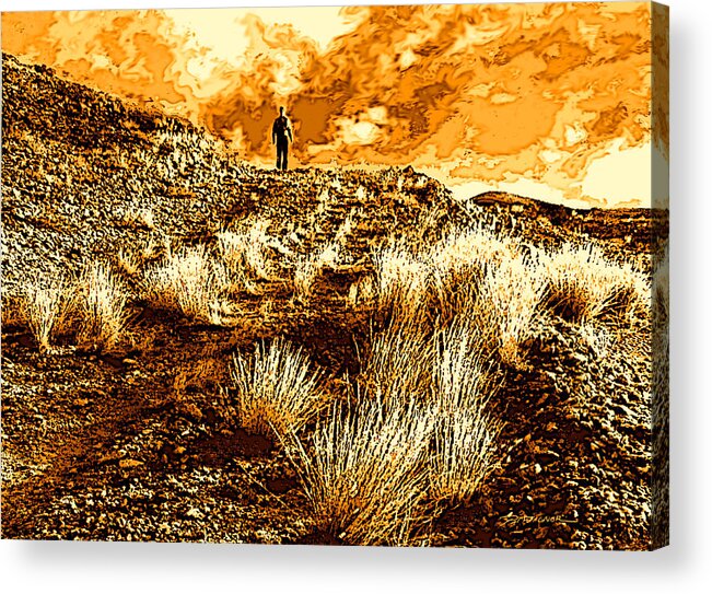 Desert Acrylic Print featuring the photograph Imperial Desert Majesty by Pat Wagner
