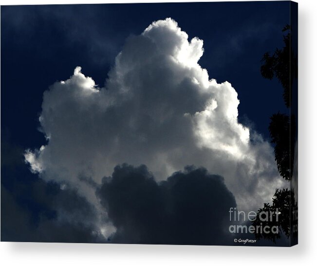 Patzer Acrylic Print featuring the photograph In Light Of Things by Greg Patzer