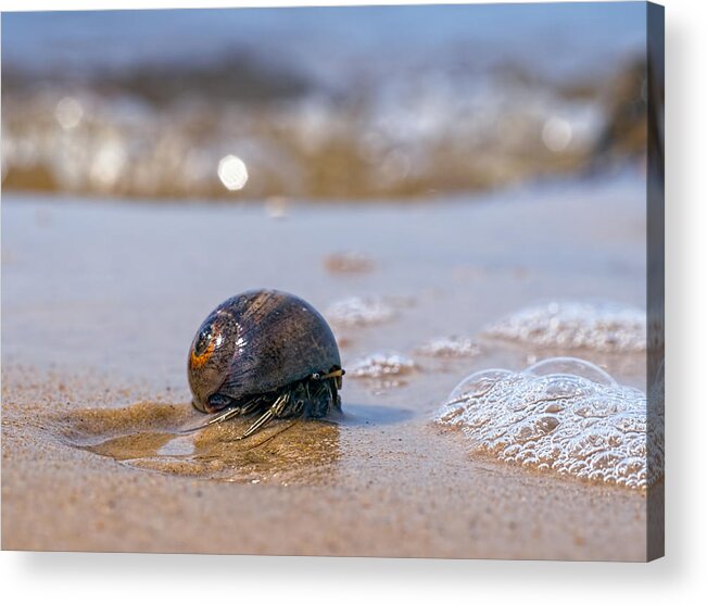 Bubbles Acrylic Print featuring the photograph In My Way by Brad Boland
