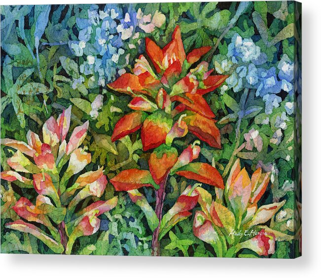 Wild Flower Acrylic Print featuring the painting Indian Paintbrush by Hailey E Herrera