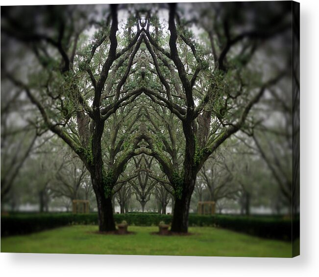  Acrylic Print featuring the photograph Into the Mist by Stoney Lawrentz