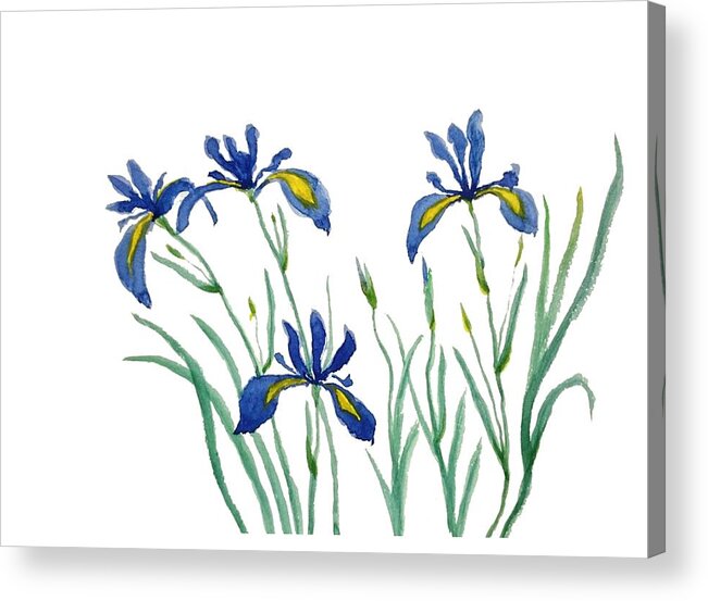Watercolor Flowers Acrylic Print featuring the painting Iris in Japanese style by Color Color