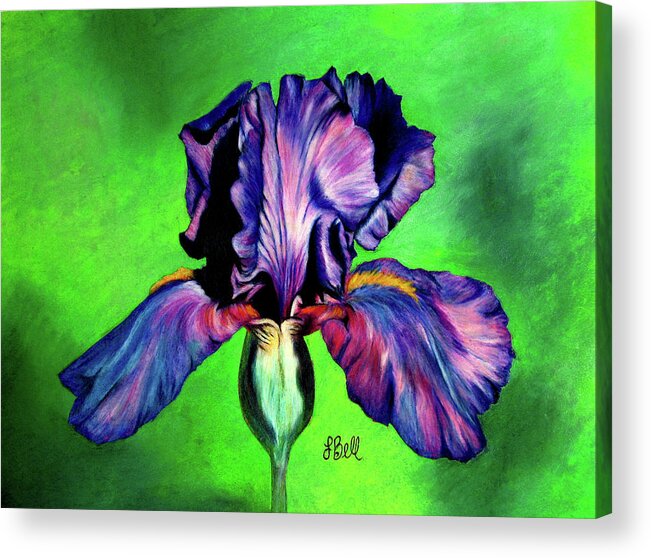 Iris Acrylic Print featuring the painting Iris by Laura Bell