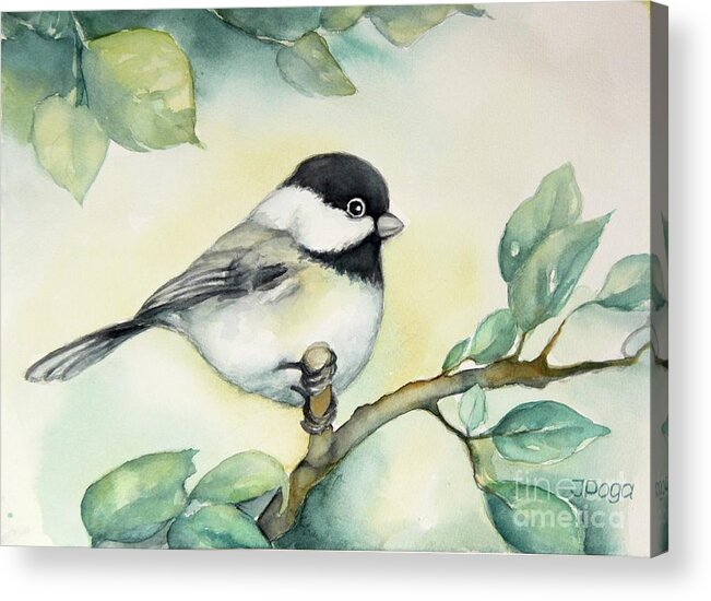 Bird Acrylic Print featuring the painting It is so cute, chickadee by Inese Poga