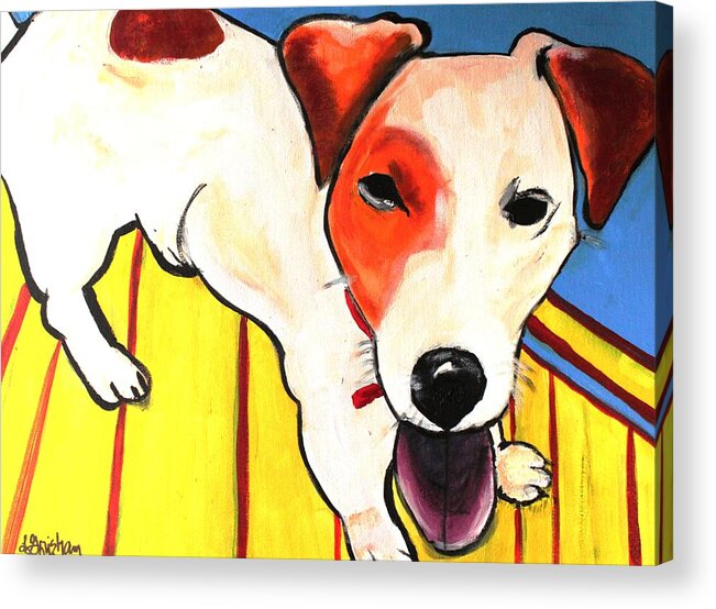 Dog Acrylic Print featuring the painting Jack Russell Terrior- Peanut by Laura Grisham