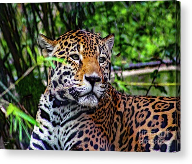 Jaguars Acrylic Print featuring the mixed media Jaguar at Peace by DB Hayes