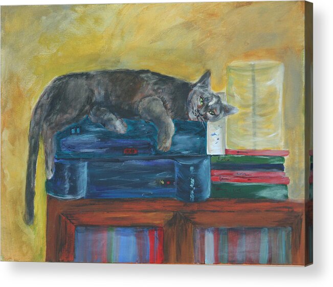 Gail Daley Acrylic Print featuring the painting Kitty Comfort by Gail Daley