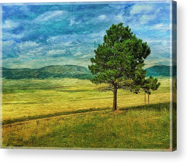 La Caldera Acrylic Print featuring the photograph La Caldera - New Mexico by Barbara Zahno