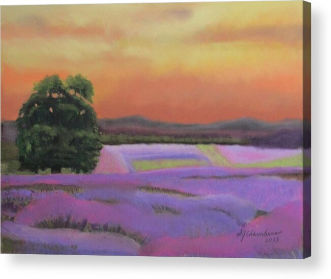 Lavender Acrylic Print featuring the painting Lavender Fields in a Golden Sunset by Donna Chambers