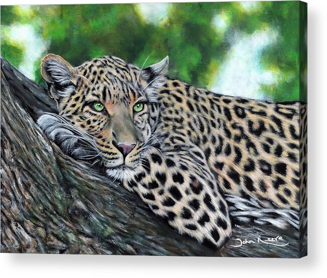 Leopard Acrylic Print featuring the painting Leopard on Branch by John Neeve