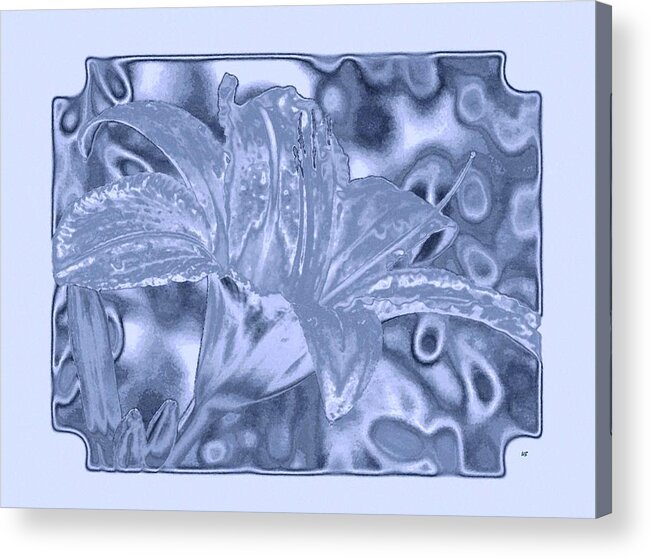 Lily Elegance 1 Acrylic Print featuring the digital art Lily Elegance 1 by Will Borden