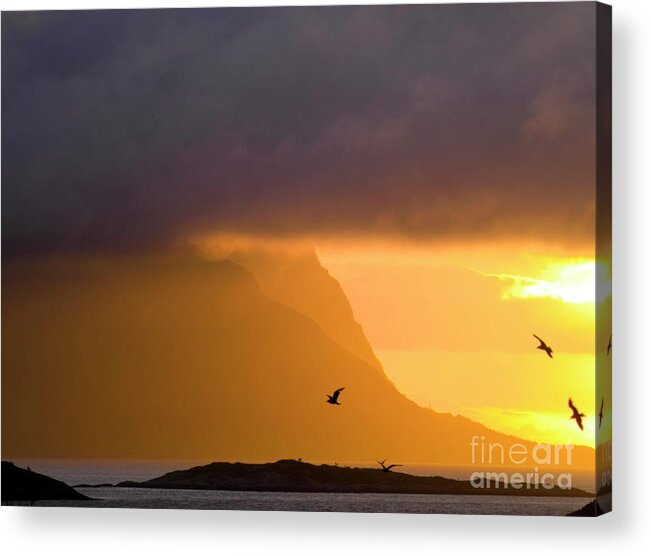 Weather Acrylic Print featuring the photograph Lofoten island after the storm by Heiko Koehrer-Wagner
