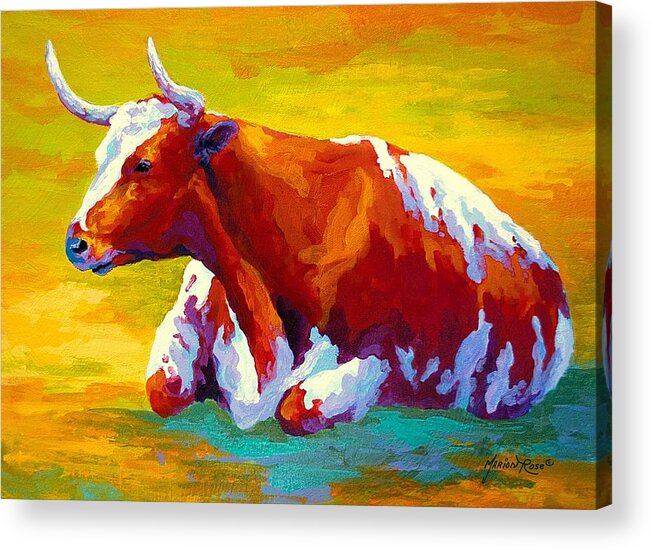 Western Acrylic Print featuring the painting Longhorn Cow by Marion Rose