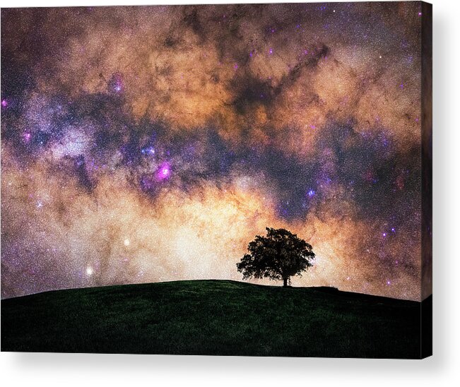  Acrylic Print featuring the photograph Lost In Inspiration by Micah Roemmling