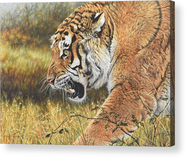 Wildlife Paintings Acrylic Print featuring the painting Lunch Time by Alan M Hunt