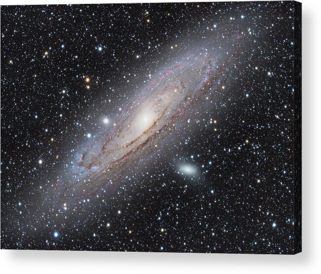 Space Acrylic Print featuring the photograph M31 - Andromeda Galaxy by Dennis Sprinkle