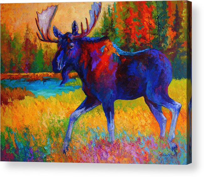 Moose Acrylic Print featuring the painting Majestic Monarch - Moose by Marion Rose