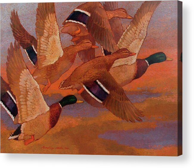 Mallard Acrylic Print featuring the painting Mallards by Attila Meszlenyi