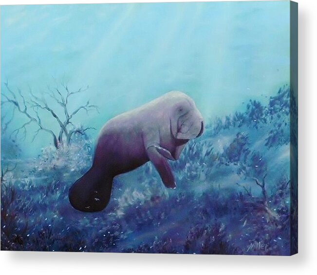Manatee Acrylic Print featuring the painting Manatee by Peggy Miller